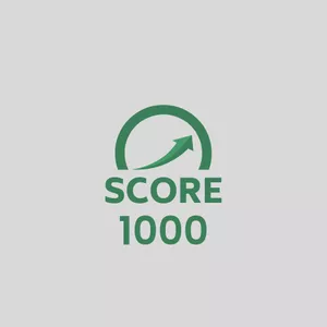 Imagem do curso Score 1000