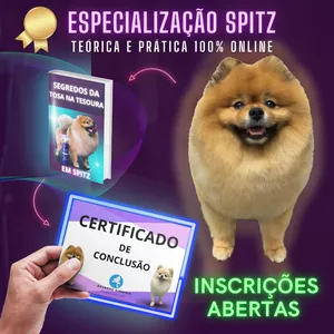 Imagem de capa para o Curso online Especialização em Spitz