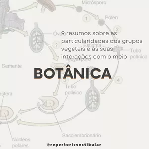 Imagem de capa para o Ebook Resumos de Botânica