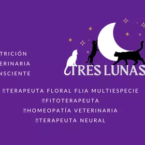 Imagen de portada para Curso online ASESORIA NUTRICIONAL CON SEGUIMIENTO