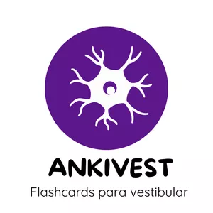 Imagem de capa para o Ebook AnkiVest