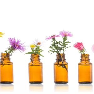 Imagem de capa para o Curso online Curso de Introdução aos Florais de Bach