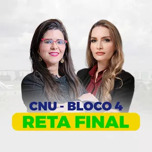Imagem de capa para o Curso online CNU 04 - Curso de Reta Final