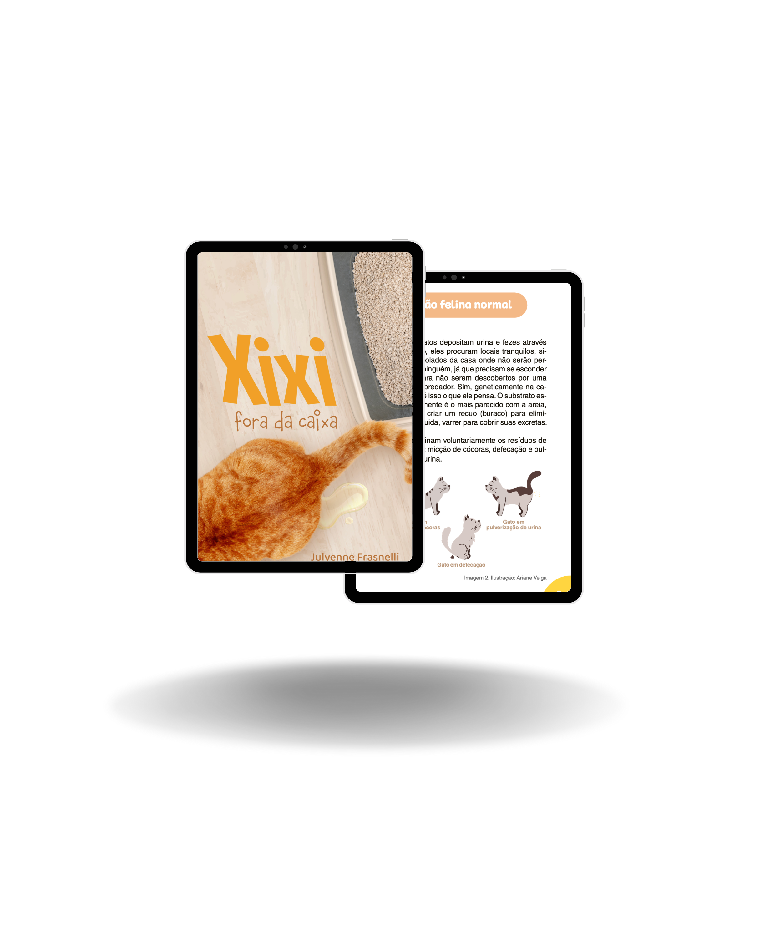 Imagem do curso EBOOK XIXI FORA DA CAIXA + AULAS BÔNUS