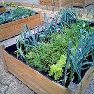 Imagen de portada para Curso online ¡|Eco-Soluciones