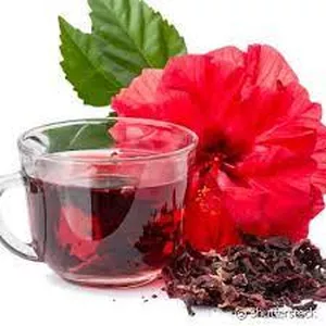 Imagem principal do produto 8 benefícios do chá de hibisco
