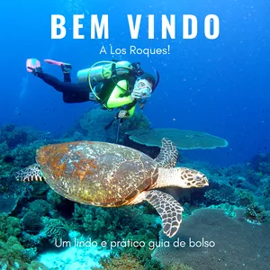 Imagem de capa para o Ebook Bem vindo a Los Roques - Dicas de quem já foi!
