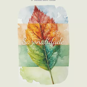 Imagem de capa para o Ebook Ebook sobre a sazonalidade morando no exterior