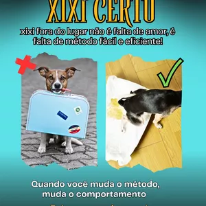 Imagem de capa para o Ebook Xixi no lugar certo