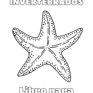 Imagen de portada para Ebook ANIMALES INVERTEBRADOS