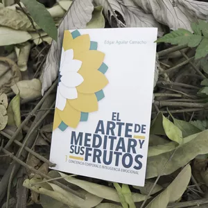 Imagen de portada para Curso online El arte de meditar y sus frutos