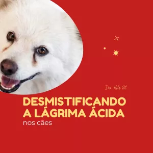 Imagem de capa para o Curso online Desmistificando a Lágrima Ácida nos cães