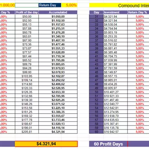 Cover image for Online course Compound Interest Spreadsheet
