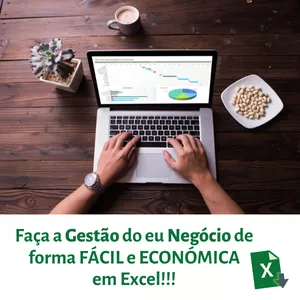 Imagem de capa para o Curso online Gestão de Negócio em Excel