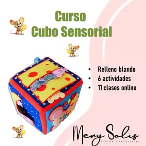 Imagen de portada para Curso online Curso Cubo Sensorial