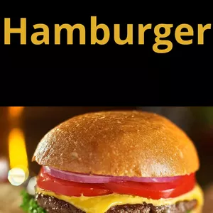 Imagem de capa para o Ebook Hamburger
