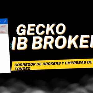 Imagen de portada para Curso online Gecko IB Brokers 