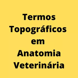 Imagem de capa para o Curso online Termos topográficos em Anatomia Veterinária