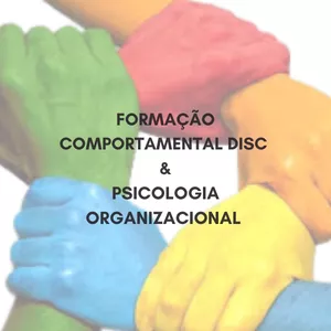 Imagem de capa para o Curso online Formação Comportamental DISC + Formação Psicologia Organizacional