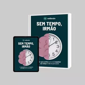 Imagem de capa para o Ebook SEM TEMPO, IRMÃO - Um guia prático para você organizar seu tempo ainda na graduação