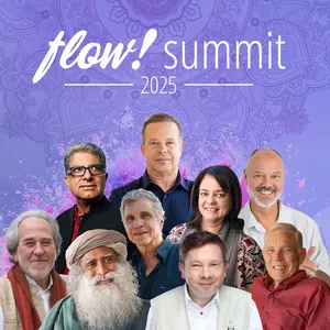 Imagen de portada para Curso online flow! summit 2025