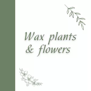 Imagen de portada para Curso online Wax plants &amp; flowers