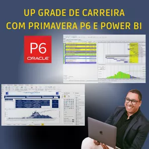 Imagem do curso PRIMAVERA P6 - do Básico ao Avançado com AWP (Advanced Work Package)