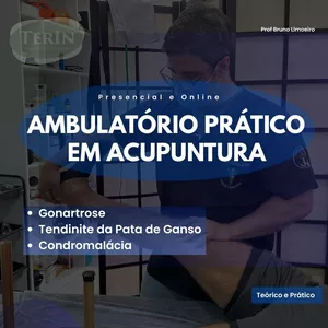 Imagem do curso Ambulatório Prático em Acupuntura - Condromalácia, Gonartrose e Tendinite de Pata de Ganso