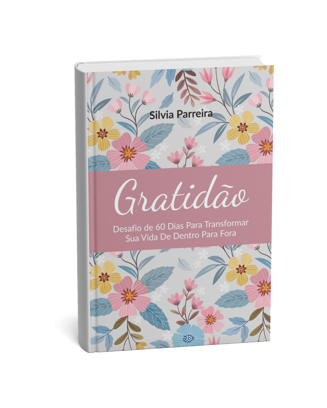 Gratidão em 60 Dias ebook