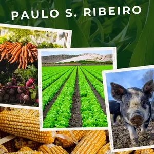 Imagem de capa para o Ebook E-Book Curso Gestão dos Processos Agrícolas 