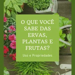 Imagem de capa para o Ebook O que você sabe das ervas, plantas e frutas?