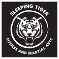 Sleeping Tiger Fitness Online logo