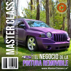Imagen de portada para Curso online El Negocio de la Pintura Removible