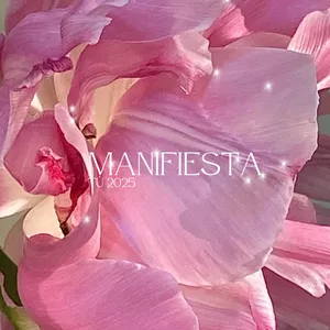 Imagen de portada para Evento online Manifiesta tu 2025 desde adentro