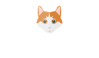 Speakinturkish logo