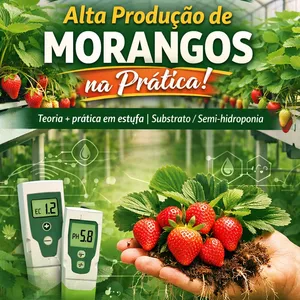 Imagem do curso Alta produção de morangos na prática