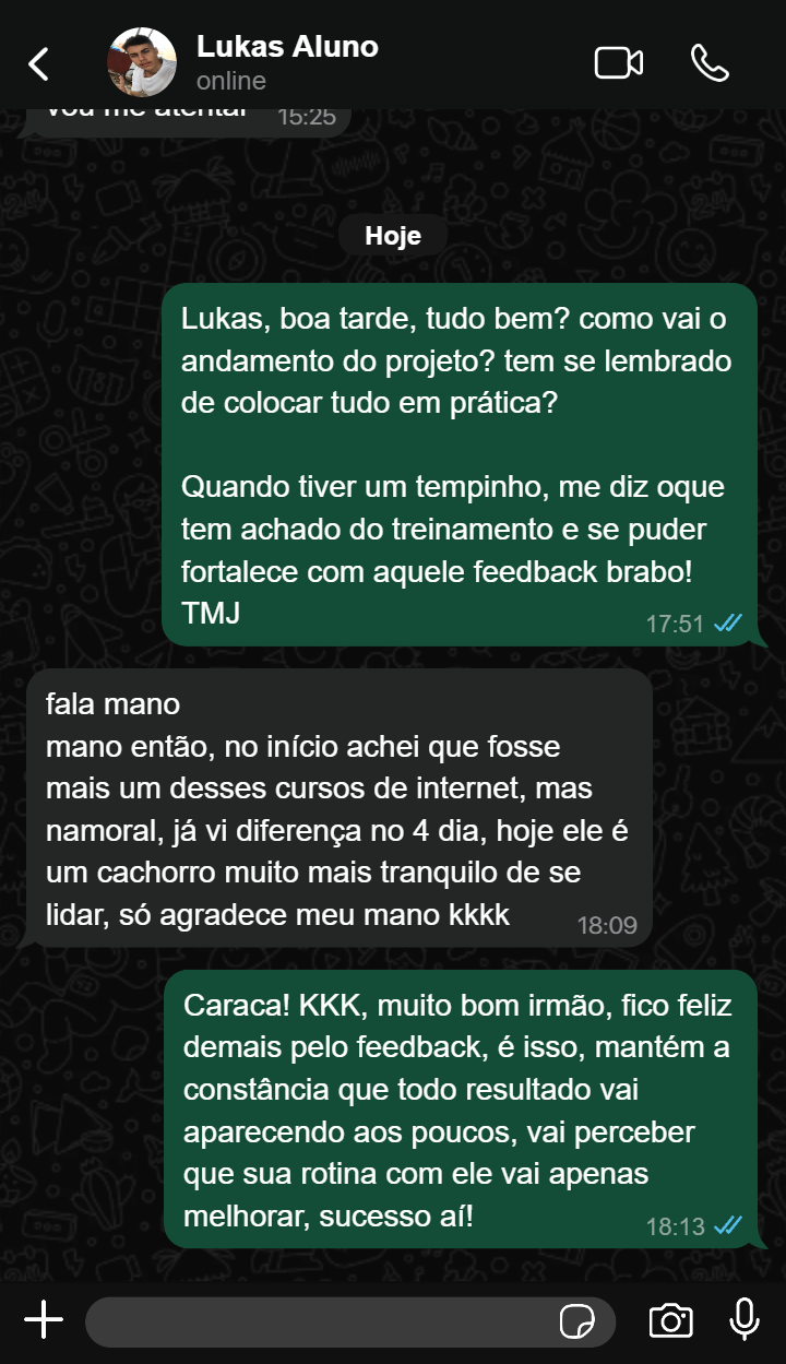 Treinamento Cão Sem Estresse: Educação Canina em Casa