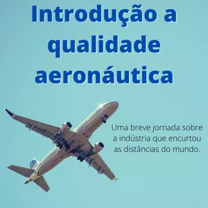 Imagem de capa para o Curso online Introdução a Qualidade Aeronáutica