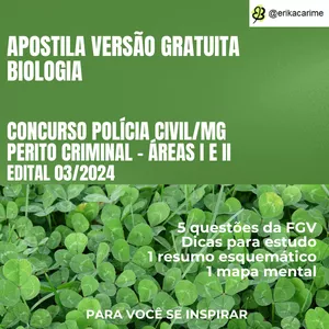 Imagem de capa para o Ebook POLÍCIA CIVIL/MG - Questões de concurso - VERSÃO GRATUITA