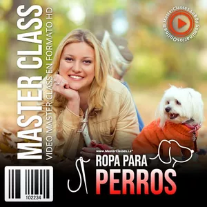 Imagen de portada para Curso online Ropa Para Perros