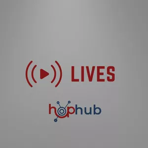 Imagem de capa para o Curso online Lives Salvas Carol Castro