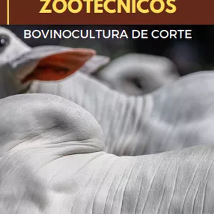 Imagem de capa para o Ebook Índices Zootécnicos da Bovinocultura de Corte - Índices que todo gestor precisa saber!