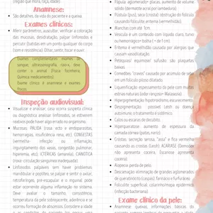 Imagem de capa para o Curso online RESUMO SEMIOLOGIA VETERINÁRIA