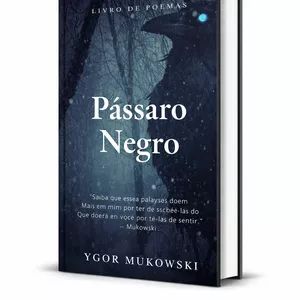 Imagem de capa para o Ebook Pássaro Negro