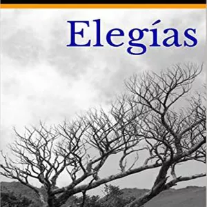 Imagen de portada para Ebook Elegias