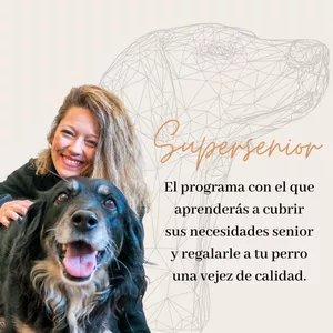 Imagen de portada para Curso online Supersenior
