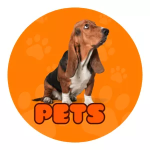 Imagen de portada para Curso online Universo Canino