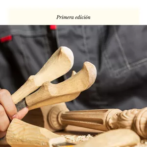 Imagen de portada para Ebook Oficios perdidos en España