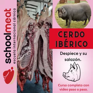 Imagen de portada para Curso online Despiece de CERDO IBÉRICO y su salazón