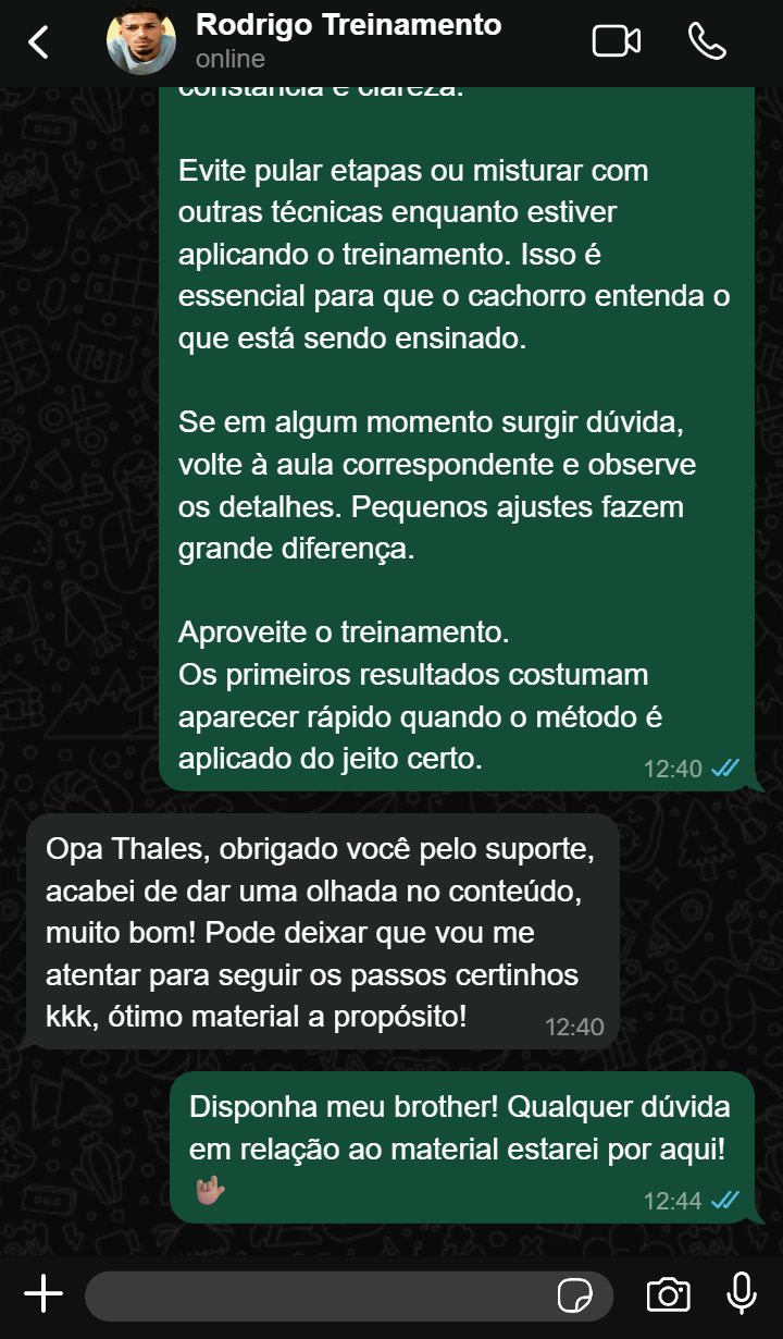 Treinamento Cão Sem Estresse: Educação Canina em Casa — imagem 2